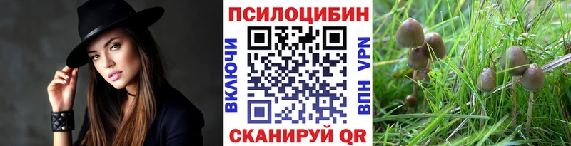 Галлюциногенные грибы ЛСД Шумерля
